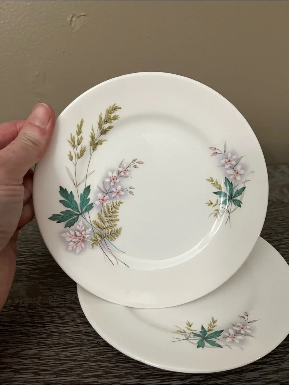 Vintage Queen Anne bone china plate in the Louise pattern, set of six